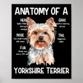 Anatomie van een Yorkshire Terrier voor Hondenlief Poster (Voorkant)