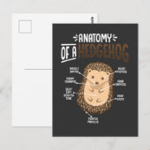 Anatomie van egel Lover Cute Forest Animal Briefkaart (Voorkant / Achterkant)