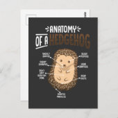 Anatomie Van Egelliefhebber Cute Bosdier Briefkaart (Voorkant / Achterkant)