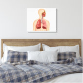 Anatomie van het ademhalingsstelsel van de mens canvas afdruk (Insitu (Slaapkamer))