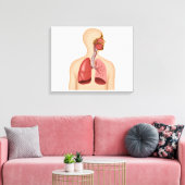 Anatomie van het ademhalingsstelsel van de mens canvas afdruk (Insitu (Woonkamer))