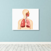 Anatomie van het ademhalingsstelsel van de mens canvas afdruk (Insitu (Houten vloer))