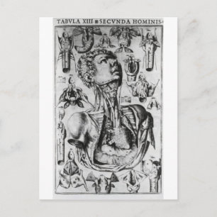 anatomie van het ademhalingssysteem briefkaart