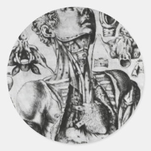 anatomie van het ademhalingssysteem ronde sticker