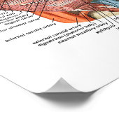 Anatomie van het gezicht poster (Hoek)