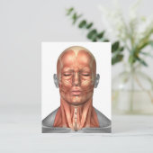 Anatomie van het gezicht van de mens en de nekspie briefkaart (Staand voorkant)