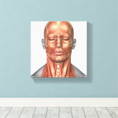Anatomie van het gezicht van de mens en de nekspie canvas afdruk (Insitu (Houten vloer))