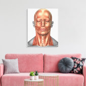 Anatomie van het gezicht van de mens en de nekspie canvas afdruk (Insitu (Woonkamer))