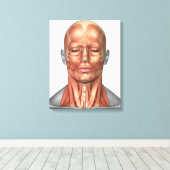Anatomie van het gezicht van de mens en de nekspie canvas afdruk (Insitu (Houten vloer))