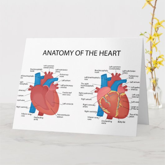 Anatomie van het hart kaart (Gele Bloem)