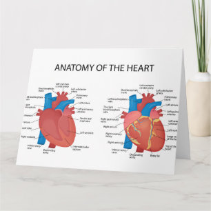 Anatomie van het hart kaart