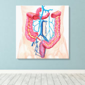 Anatomie van het humane abdominale huidstelsel canvas afdruk (Insitu (Houten vloer))