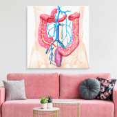 Anatomie van het humane abdominale huidstelsel canvas afdruk (Insitu (Woonkamer))