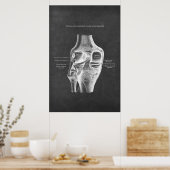 Anatomie van het knie achterste Uitzicht Poster (Keuken)