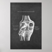 Anatomie van het knie achterste Uitzicht Poster (Voorkant)