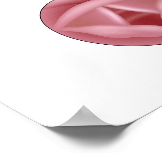 Anatomie van het larynxPoster Poster (Hoek)