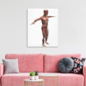 Anatomie van het mannelijke spierstelsel, zij Uitz Canvas Afdruk (Insitu (Woonkamer))