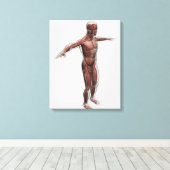 Anatomie van het mannelijke spierstelsel, zij Uitz Canvas Afdruk (Insitu (Houten vloer))