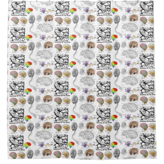 Anatomie van het menselijk brein populair douchegordijn (Voorkant)