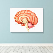 Anatomie van het menselijk brein, zijdelings Uitzi Canvas Afdruk (Insitu (Houten vloer))