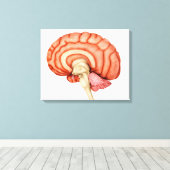 Anatomie van het menselijk brein, zijdelings Uitzi Canvas Afdruk (Insitu (Houten vloer))