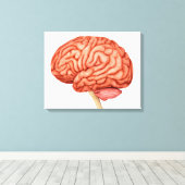 Anatomie van het menselijk brein, zijdelings Uitzi Canvas Afdruk (Insitu (Houten vloer))