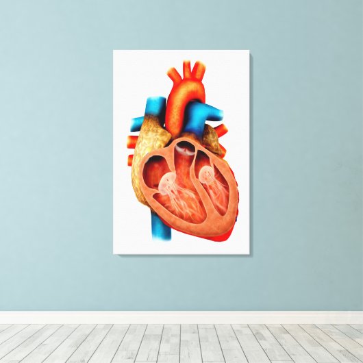 Anatomie van het menselijk hart, dwarsdoorsnede canvas afdruk (Insitu (Houten vloer))