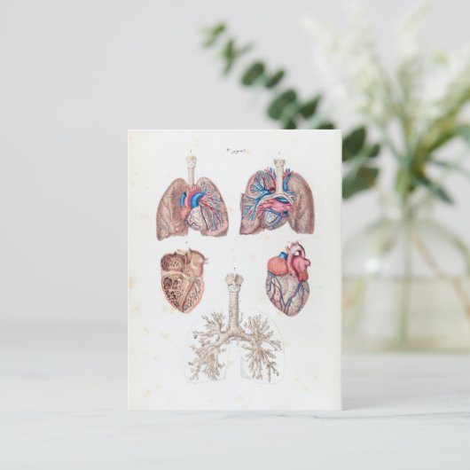 anatomie van het menselijk hart en de longen briefkaart (Staand voorkant)