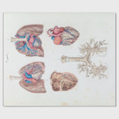  anatomie van het menselijk hart en de longen cadeaupapier (Vlak)