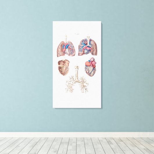 anatomie van het menselijk hart en de longen canvas afdruk (Insitu (Houten vloer))