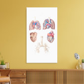  anatomie van het menselijk hart en de longen canvas afdruk (Insitu (Woonkamer))