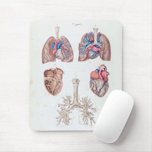  anatomie van het menselijk hart en de longen muismat (Met muis)