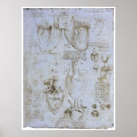Anatomie van het menselijk hart, Leonardo da Vinci