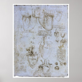 Anatomie van het menselijk hart, Leonardo da Vinci Poster