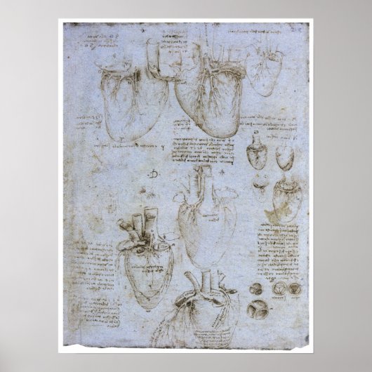 Anatomie van het menselijk hart, Leonardo da Vinci Poster (Voorkant)