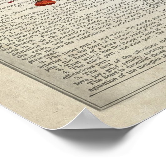 Anatomie van het Menselijk Hart met Bloemen & Vlin Poster (Hoek)