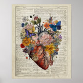 Anatomie van het Menselijk Hart met Bloemen & Vlin Poster (Voorkant)