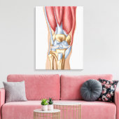 Anatomie van het menselijk kniegewricht canvas afdruk (Insitu (Woonkamer))