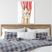 Anatomie van het menselijk kniegewricht canvas afdruk (Insitu (Slaapkamer))