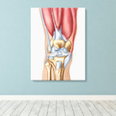 Anatomie van het menselijk kniegewricht canvas afdruk (Insitu (Houten vloer))