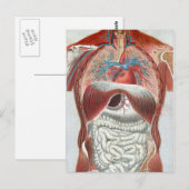 Anatomie van het menselijk lichaam briefkaart (Voorkant / Achterkant)