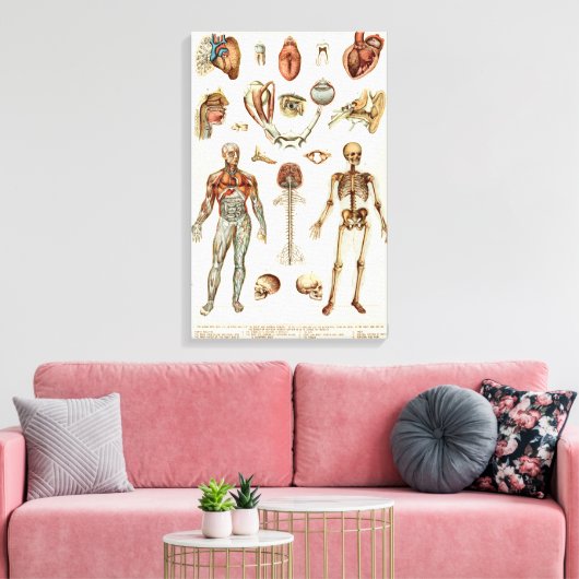 Anatomie van het menselijk lichaam canvas afdruk (Insitu (Woonkamer))