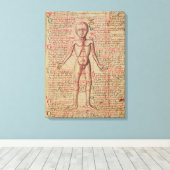 Anatomie van het menselijk lichaam canvas afdruk (Insitu (Houten vloer))
