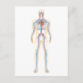 Anatomie van het menselijk lichaam en bloedsomloop briefkaart (Voorkant)