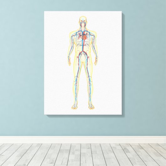 Anatomie van het menselijk lichaam en bloedsomloop canvas afdruk (Insitu (Houten vloer))