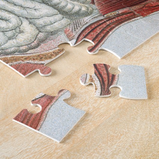 Anatomie van het menselijk lichaam legpuzzel (Zijkant)