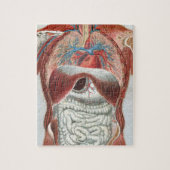 Anatomie van het menselijk lichaam legpuzzel (Verticaal)