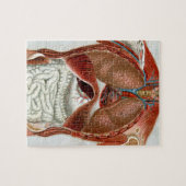 Anatomie van het menselijk lichaam legpuzzel (Horizontaal)