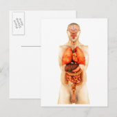 Anatomie van het menselijk lichaam met gehele orga briefkaart (Voorkant / Achterkant)
