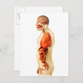 Anatomie van het menselijk lichaam met gehele orga briefkaart (Voorkant / Achterkant)